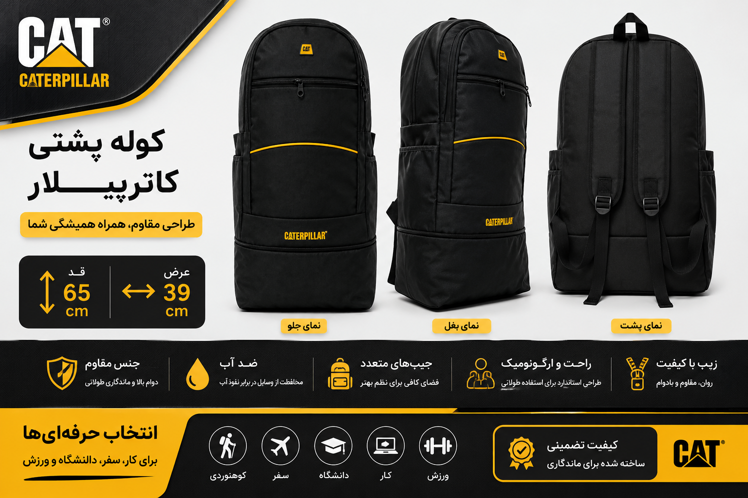 اصلی